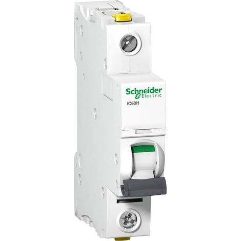 Interruptor Schneider Electric a9f07125 25 A IP20