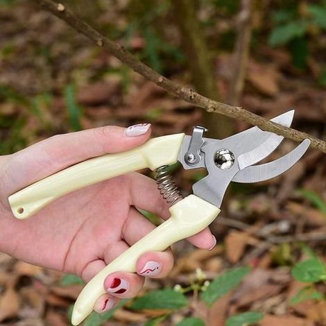Sécateur jardin AUCUNE, ciseaux récolte fruits inox, coupe branches fleurs, outil multifonction blanc (1/4)