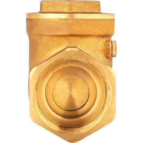 Clapet Anti-Retour à Battant Laiton 1pc Filetage Femelle DN25 232PSI Empêche Refoulement d'Eau (1/5)
