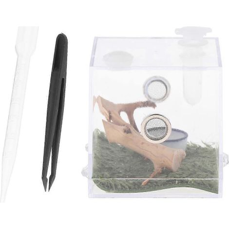 Boîte d'élevage pour reptiles - Nombreuses applications - Boîte à insectes pour animaux de compagnie-L