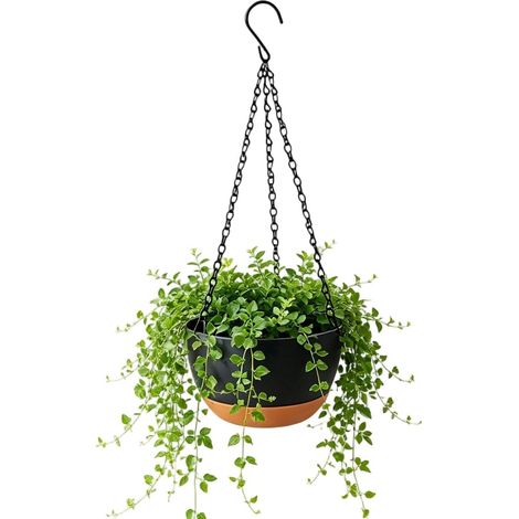 Pots de fleurs Jardinière décorative suspendue avec plateau amovible Pour patio, maison, terrasse (1/5)