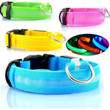 Collier lumineux chien/chat S - Bleu, LED 3 modes, visible jusqu'à 200 m, étanche, nylon résistant