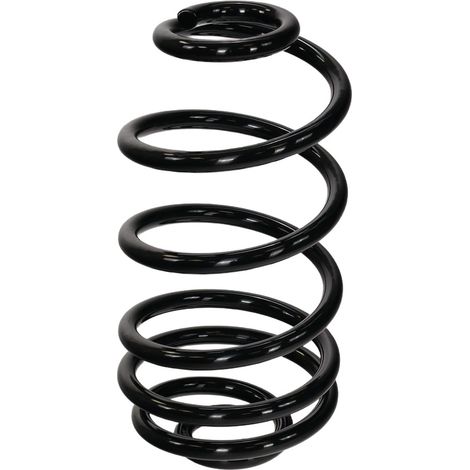 Suspension arrière à ressort rapide FT01952 (1/4)
