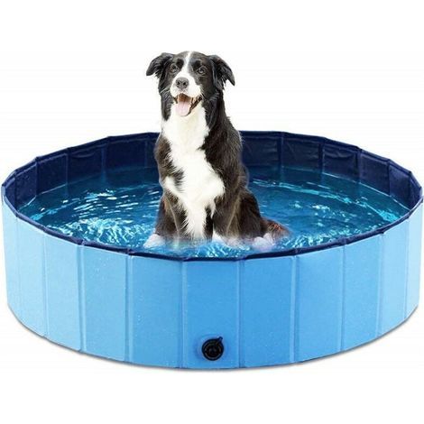 Bassine Pour Chien - Piscine Pliaible En Pvc Antidérapante - 80 X 20 Cm - Pour Chiens Jusqu'à 70 Kg (1/4)