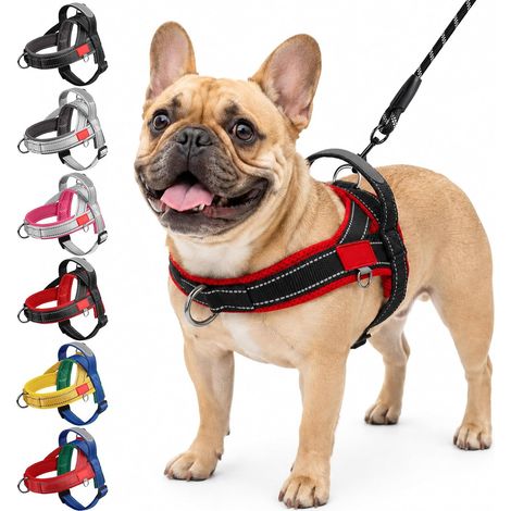 Harnais pour Chien avec Laisse, Harnais Anti Traction avec Poignée (1/5)