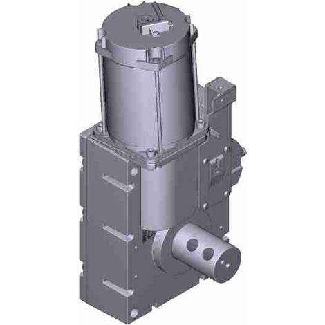 Motorreductor Motor Eléctrico G3000 Gard 3000 Barrera CAME 119RIG376 Repuesto