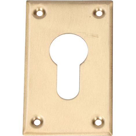 Trou de serrure 40x70mm en laiton sous blister