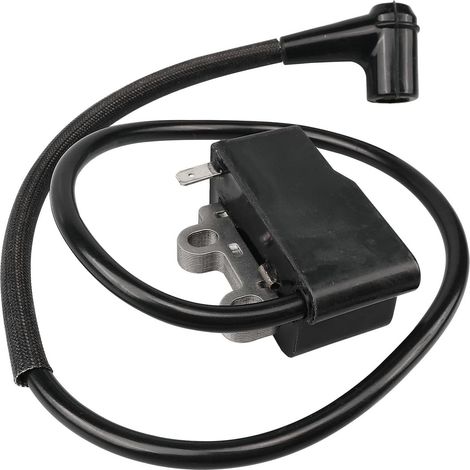 Bobina di accensione compatibile A411001620 EB600RT PB-580H PB-580T - ALTRO (1/2)