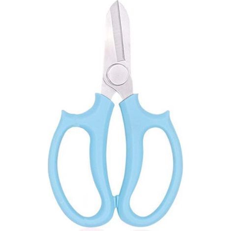 Sécateur manuel, sécateur domestique léger et compact, durable et économe en main-d'œuvre, utilisé pour la composition florale, le jardinage, l'élagage, la cueillette de fruits bleu (1/5)