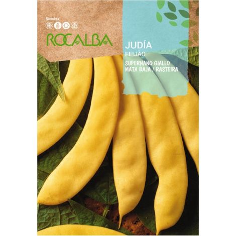 Giallo ebraico ebraico 30G x 10 buste