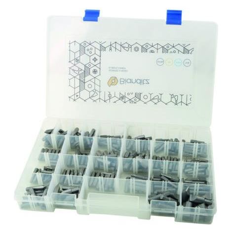 Caja 218 puntas BIANDITZ surtidas para profesionales 238989