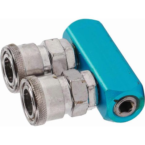 Raccord rapide pneumatique femelle PT1/4 12 mm compatible avec tuyau d'air (2 voies) (1/5)