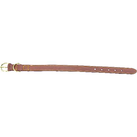 6PZ COLLARE PER CANE larg. mm 35 lung. cm 67
