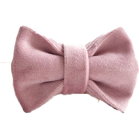 Collier Et Laisse Pour Chien - Tissu Velours Doux - Sangle Coton Robuste - Boucle Acier Réglable - Ensemble Complet (1/5)