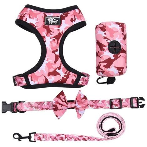Lot de 4 accessoires pour chien, M, rose (1/5)