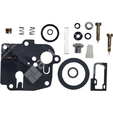 Kit de reparación para carburadores BRIGGS & STRATTON 494623 - 006642