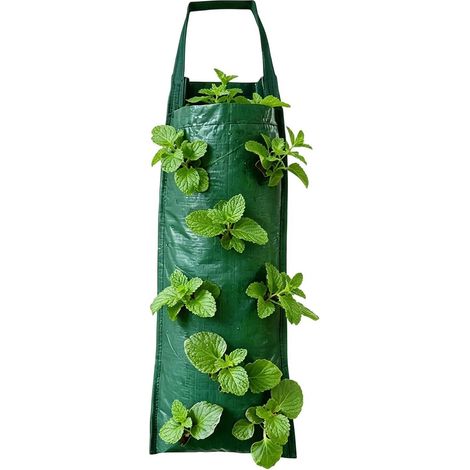 Jardinière suspendue pour fraisiers, poignées cousues renforcées, 65 x 25 cm, sacs (1/5)
