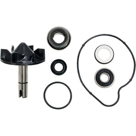Kit Pompe à Eau Tmax 530 2012-2016