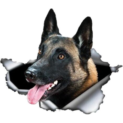 Autocollant de voiture Malinois belge Autocollant de voiture Autocollants réfléchissants 25 cm 3D Déchiré Autocollant Métal Imperméable Belge Berger Chien Autocollant Animal de compagnie Chien (1/4)