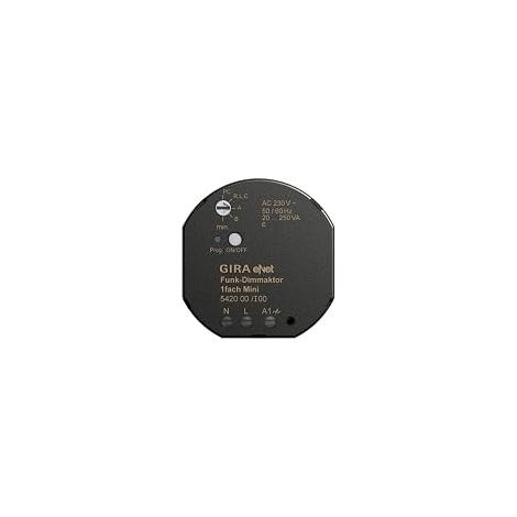 GIRA 542000