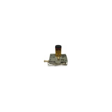 Chaudiere complete 230v pour Cafetiere DELONGHI 5513227901