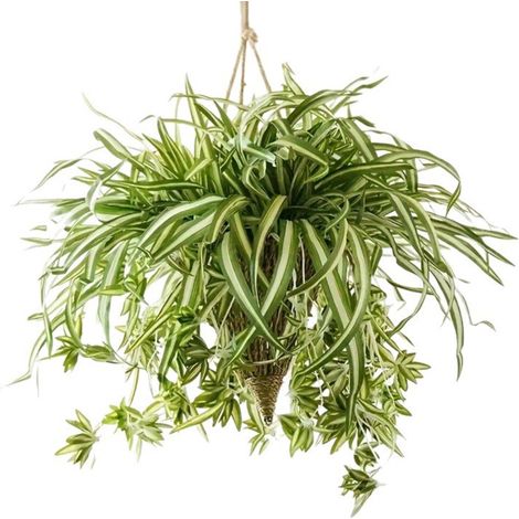 Lot de 2 plantes artificielles, feuillage vigne, tiges métal, décoration murale, intérieur extérieur (1/5)