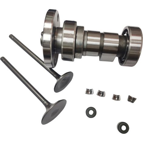 Camshaft rocker arms for motorcycles, compatible with the Vento Tornado 250, Crossmax 250 and Rocketman 250 models.--DTEKGAZ (1/3)