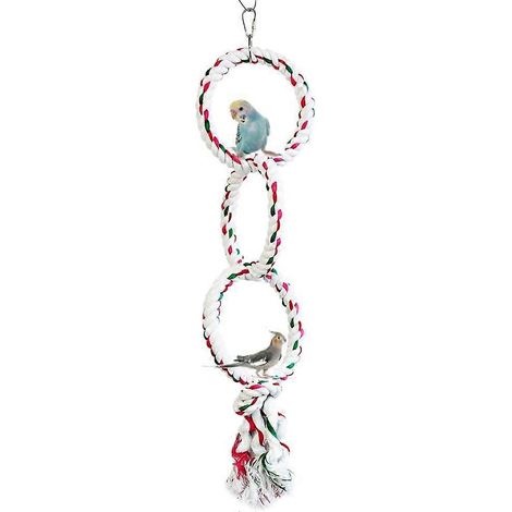 Anneau de balançoire pour perroquet, perchoir en corde de coton, jouet à mâcher pour perruche, calopsitte, conure, trois anneaux (1/5)