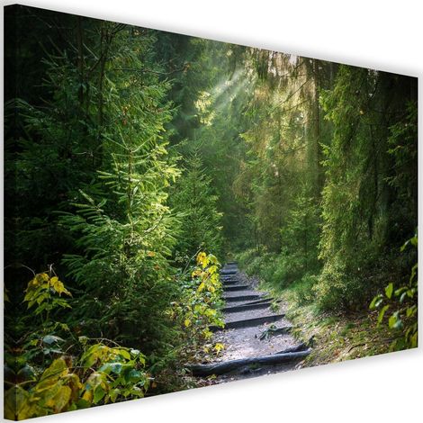 Tableau sur toile Forêt Nature Vert Paysage 60x40 (1/5)