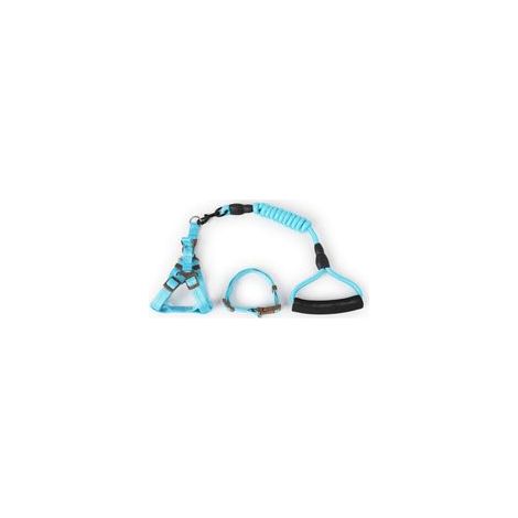 Laisse en corde pour chien Laisse en corde durable avec poignée rembourrée et ensemble de laisse pour chiens de petite, moyenne et grande taille (1/4)