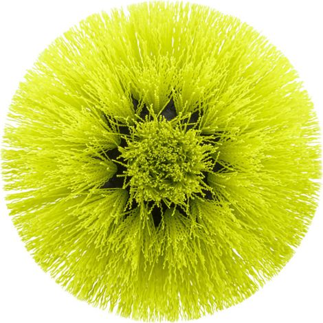 Brosse souple multi-surfaces pour nettoyeur 4V RSCR4 RYOBI - 110mm - RACLRM110