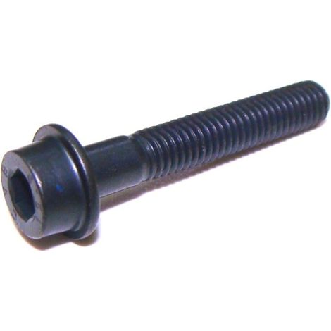 3860096R - Vis Pour OLEO-MAC