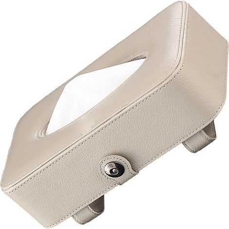 Porte-mouchoirs voiture en similicuir beige, range-boîte suspendu pour pare-soleil, dossier de siège, plafonnier et boîte à gants (1/5)