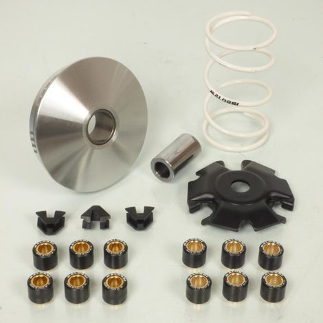 malossi variator für roller piaggio 250 x-evo nach 2007 5111885 /