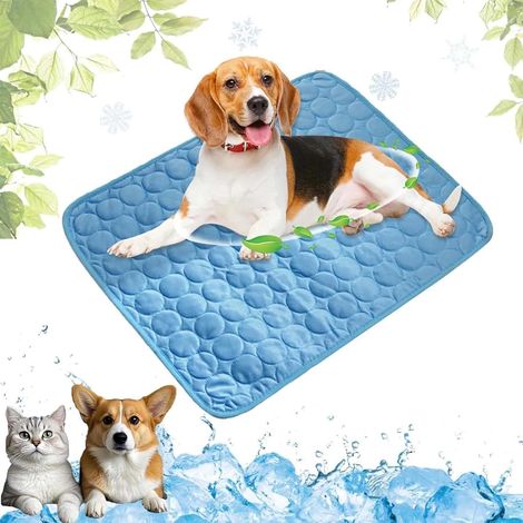 Lit pour Cage pour Chien, Coussinets Doux et lavables pour Chenil, Grands Chiens et Chats, Idéal pour la Maison, la Voiture et Les Voyages (30x40 cm) (1/5)