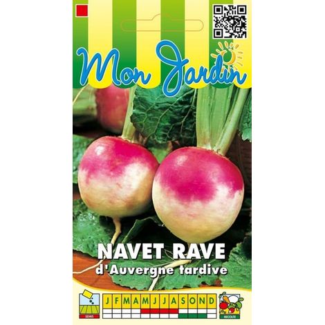 Navet rave d'Auvergne tardive - 5g