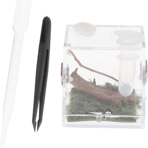 Boîte d'élevage pour reptiles - Nombreuses applications - Boîte à insectes pour animaux de compagnie-M
