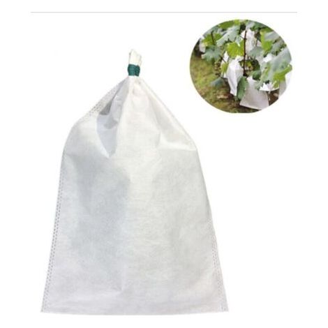 BUNTHAUS 100 manchons de fruits 20 x 30 cm – sac respirant, anti-poussière, anti-insectes et anti-oiseaux (1/4)