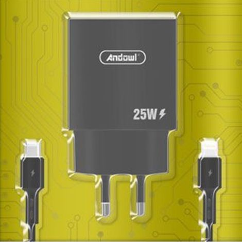 TRADE SHOP - Caricabatterie Da Muro A Ricarica Rapida Con Cavo Da Type-c A Lightning Da 25 W Q-cd669b -
