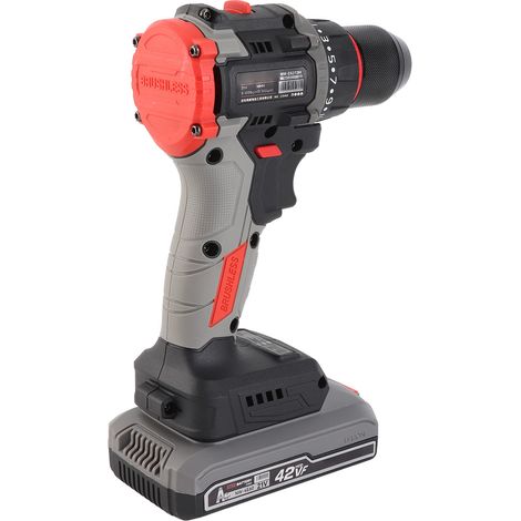 Perceuse électrique rechargeable 21 V avec batterie et chargeur, couple de 55 N.m, 20+1 réglages de couple, 2 embouts de vissage à vitesse variable et kit d'accessoires avec LED. (1/5)