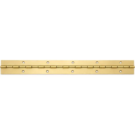 CERNIERE A METRAGGIO DA MT.2  mm.40x0,7 ferro ottonato