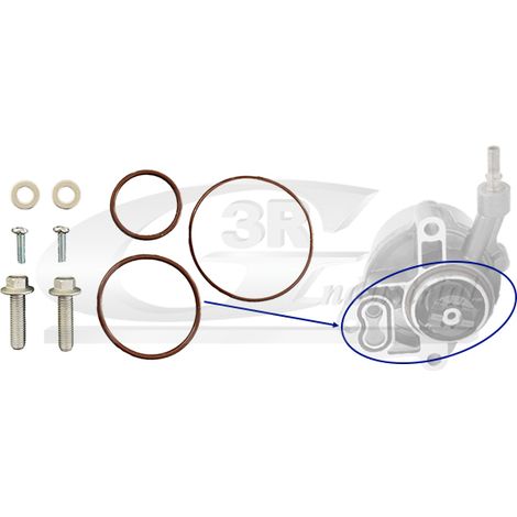 3RG 74205 KIT REPARACIÃƒâ€œN BOMBA VACÃƒÂO (9PCS)