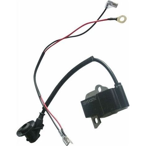 Bobina de encendido de alta presión Ignition TS 410 TS410 TS420 4238 400 1301 (1/5)
