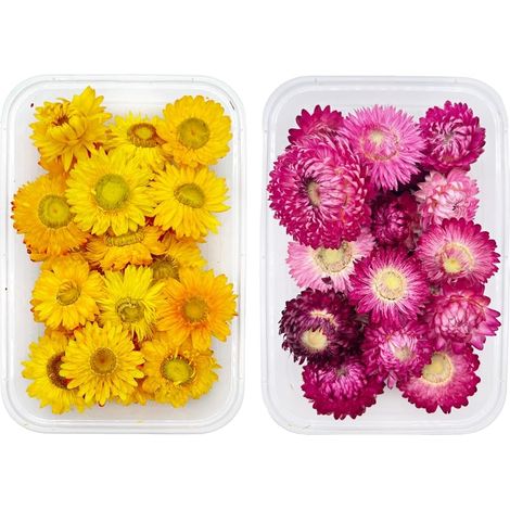 2 Cajas de Flores Secas Naturales, Flores Secas Naturales, Flores Prensadas Secas Naturales, Decoración de Flores Secas, para Hacer Velas Perfumadas, Botellas de Rafting, Marcos de Fotos