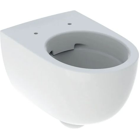Geberit Renova Nr. 1 Comfort WC suspendu, forme fermée, sans (1/5)