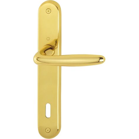 HOPPE 2857622 ROISSY - Maniglia a piastra lunga, distanza 90 mm, per porte di spessore 35-54 mm, in ottone lucido (1/3)