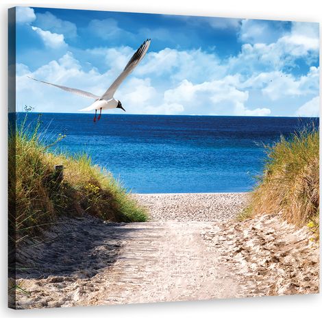 Image sur toile, Chemin vers la plage et mouette - 30x30 (1/5)