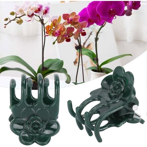 200 pinces de jardinage pour tiges, pinces à orchidées en forme de rose, pinces de fixation pour plantes vertes (1/5)