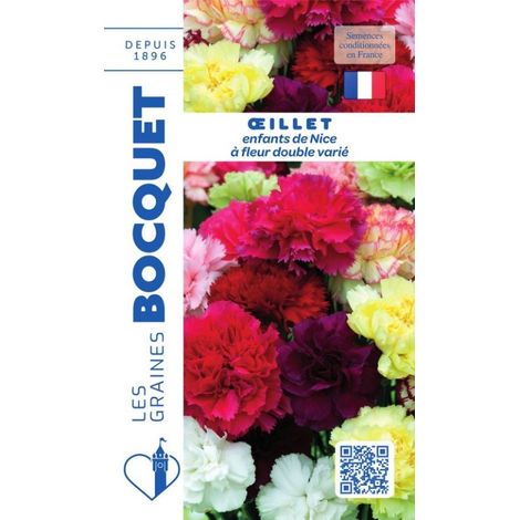 Oeillet Enfants de Nice à fleur double varié - 0,4g