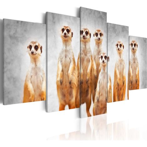 Tableau Imprimé "Meerkats" 50 x 100 cm (1/2)